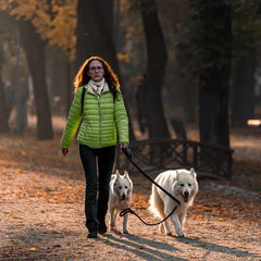 Collection image for: PET CARE