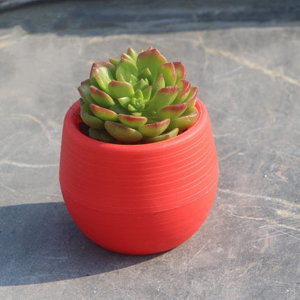 Mini Succulent Flower Pots