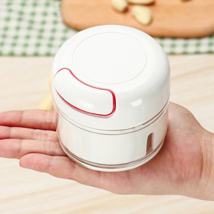 Manual Meat Grinder