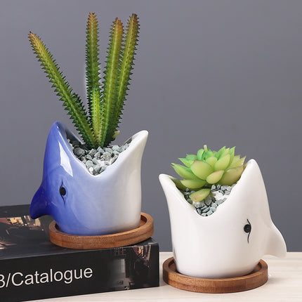 Creative Cartoon Ceramic Succulent Pots