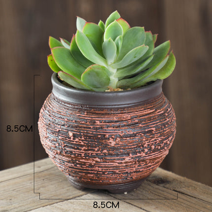 Handmade Ceramic Succulent Flower Pots