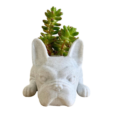 Resin Crafts Flower Pots & Gardening Ornaments