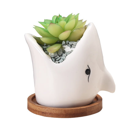 Creative Cartoon Ceramic Succulent Pots
