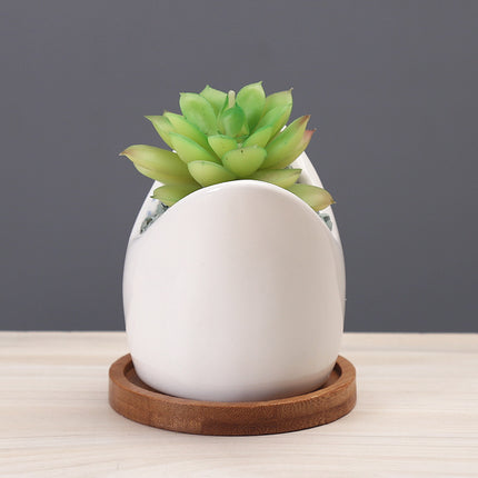 Creative Cartoon Ceramic Succulent Pots